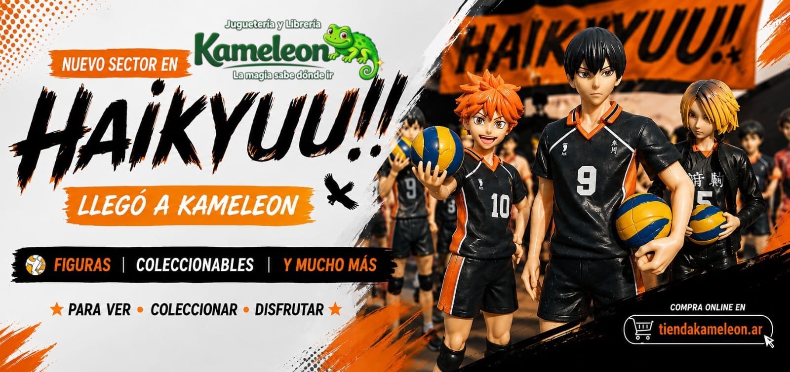 HAIKYU