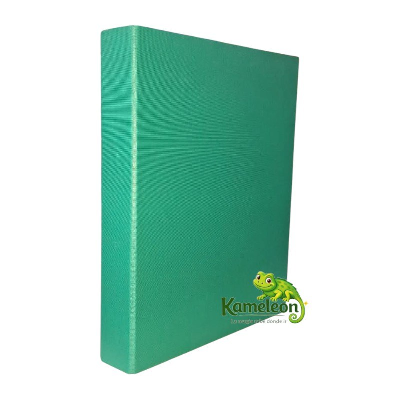 CARPETA AVIOS OFICIO FORRADA VERDE