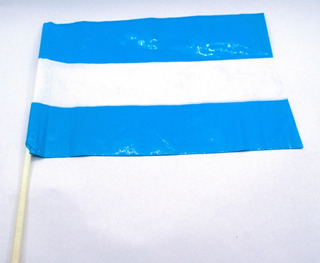 Bandera plastico argentina grande 