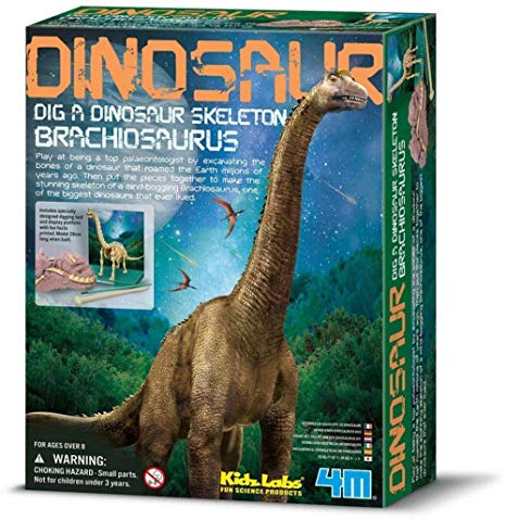 Dinosaur 