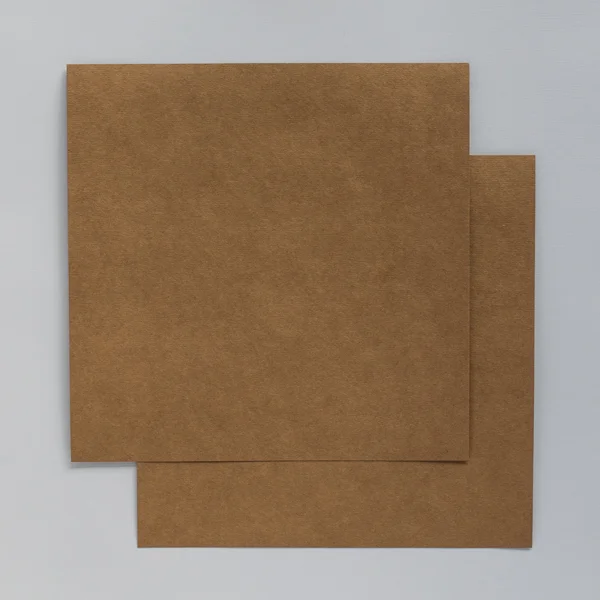 Opalina duograf cartulina hoja lisa kraf a2 220 gramos