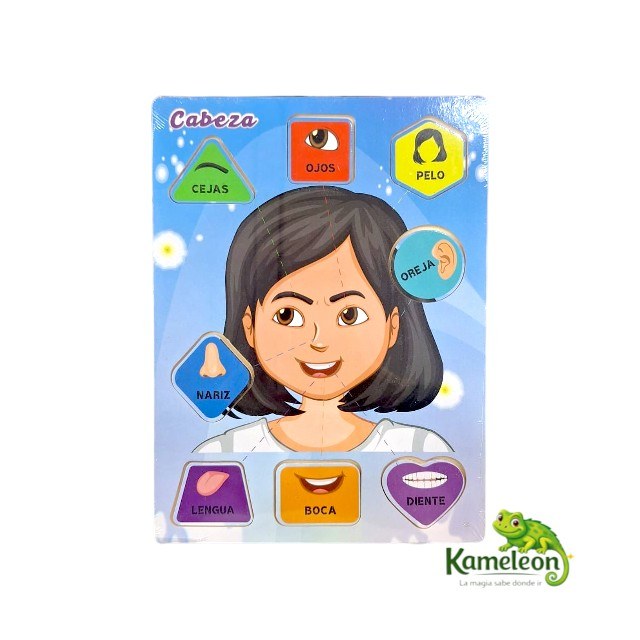 Puzzle encastrable cuerpo humano-cabeza