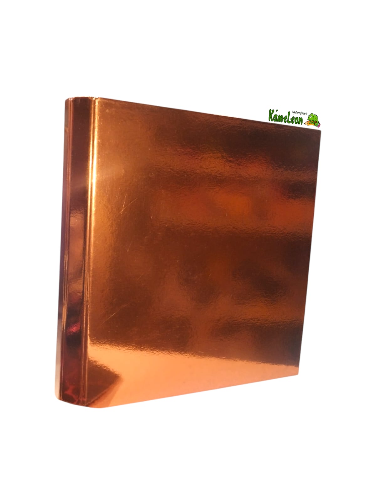 Carpeta rexon numero 3 glossy metallic colores