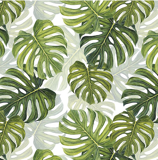 Papel de regalo plastificado hojas verdes 