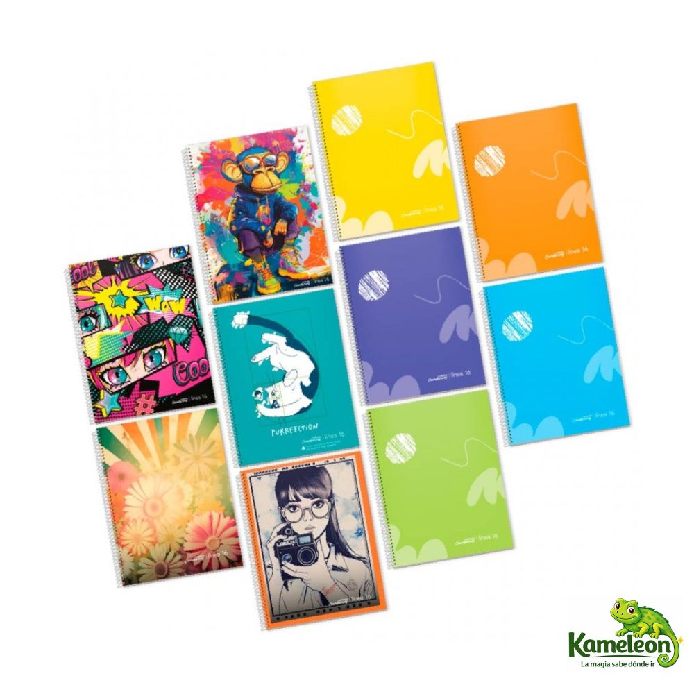 Cuaderno ledesma a4 linea 16 new edittion 29,7 70hj. rayado