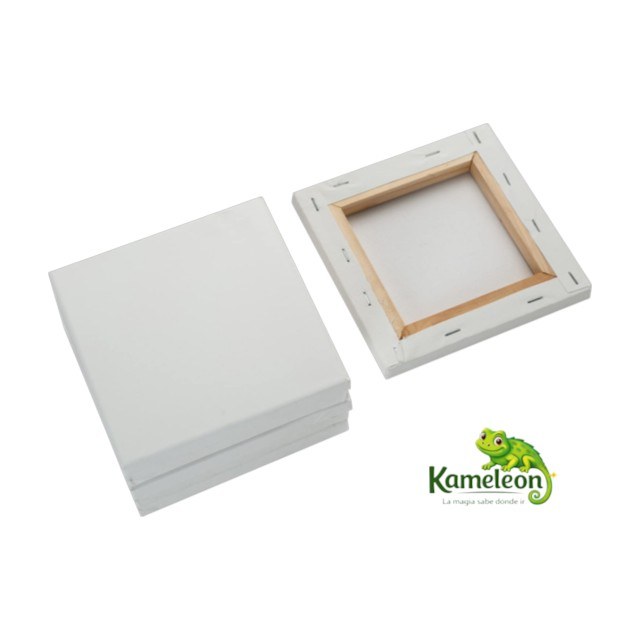 Bastidor 6x6