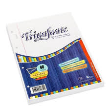 Repuesto triunfante a4 96hj. cuadriculadas