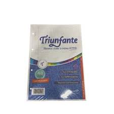 Repuesto triunfante a4 48hj. cuadriculadas