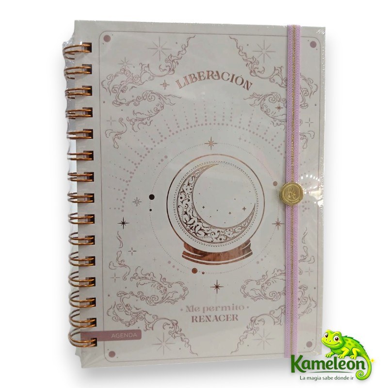 AGENDA R Y 15X21 2DXP UNIVERSO - 8004