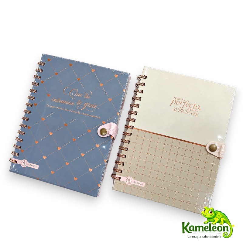 AGENDA RY MOTIVACION 15X21 - 2DXP MC-8001
