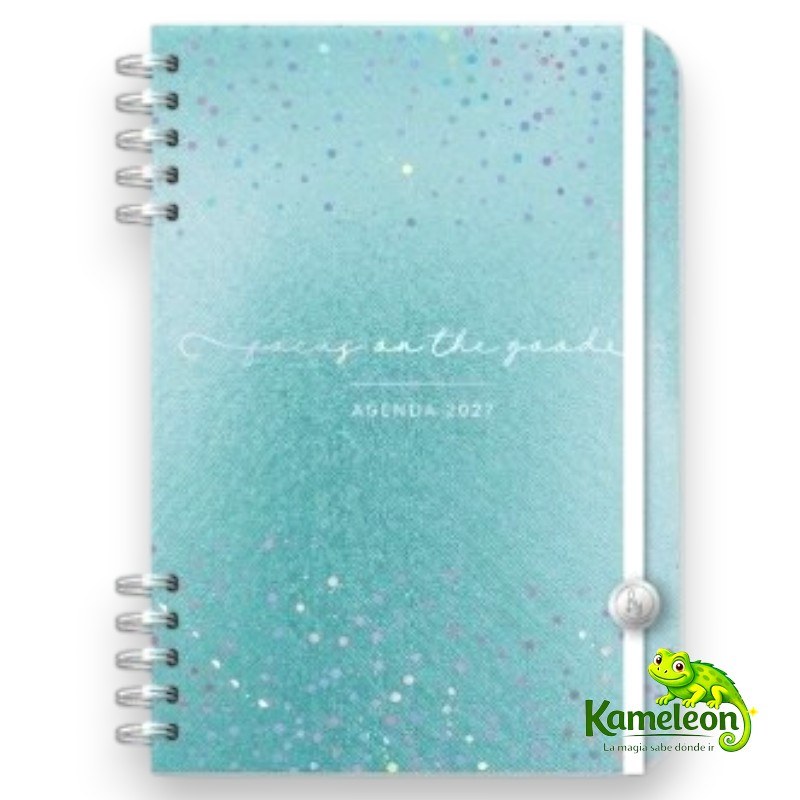AGENDA RY DIARIA PREMIUN 12X17 - 8028