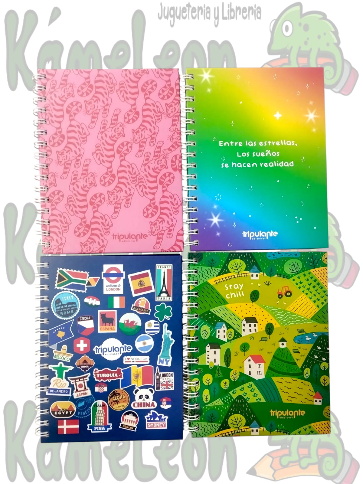 Imagen 4