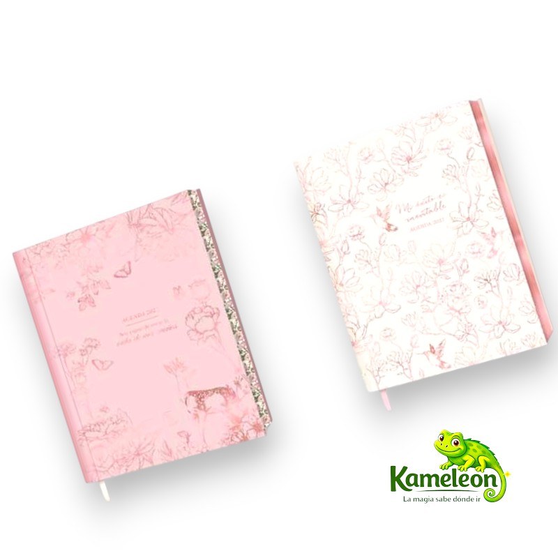 AGENDA RY DE LUXE 15X21 - 2DXP - 3031
