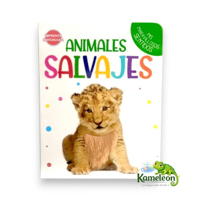 Mis maravillosos sentidos: Animales salvajes